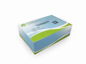 布鲁氏菌核酸检测试剂盒(冻干型/恒温荧光法)产品图片